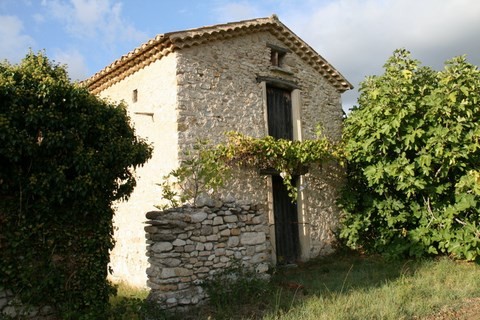 Cabanon dans les vignes