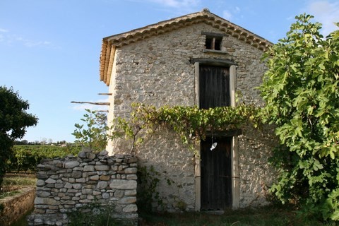 Cabanon dans les vignes