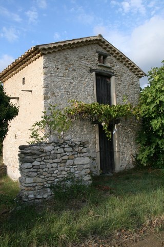 Cabanon dans les vignes