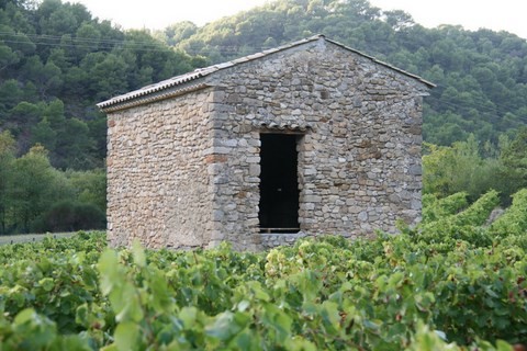 Cabanon dans les vignes