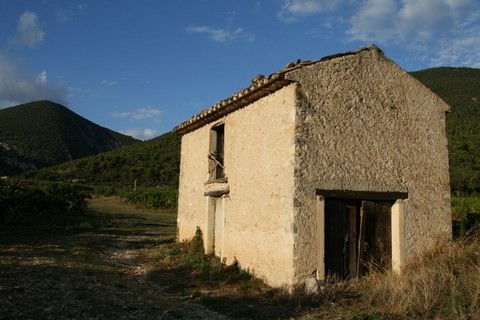 Cabanon dans les vignes
