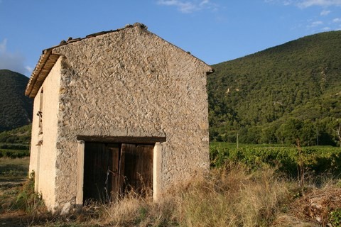 Cabanon dans les vignes
