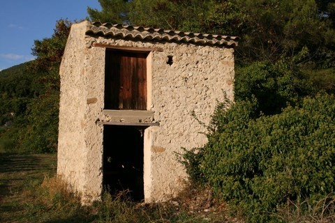 Cabanon dans les vignes