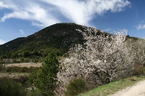 Encore un panorama à couper le souffle