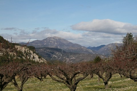 Derrière l'église, superbe panorama depuis un verger d'abricotiers