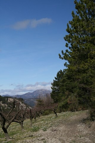 Quelle belle région !!