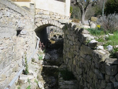 Petit ruisseau dans un charmant environnement