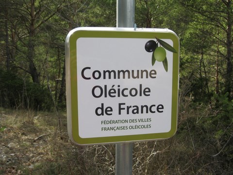 Raison pour laquelle nous avons en effet vu beaucoup d'oliviers