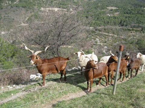 Quelques membres du service d'entretien de la zone naturelle