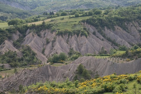 Colline ravinée de marne bleue