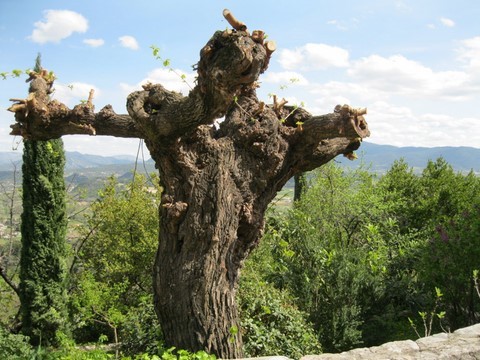 Il doit avoir déjà quelques années