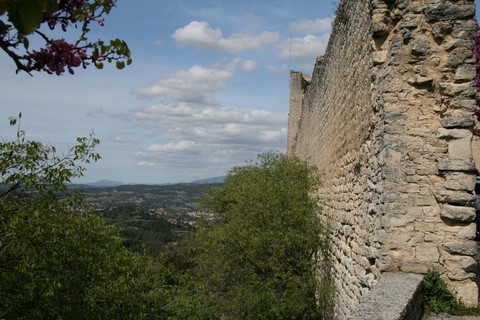 Le rempart du château