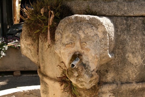 Détail gargouille tête de femme de la fontaine de la Place d'armes