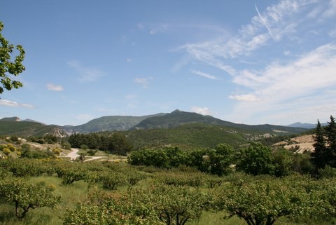 Vue sur le Mont Angèle