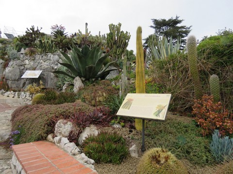 Il abrite plus de 400 plantes grasses, cactus et autres espèces rares ​méditerranéennes