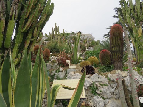 Le jardin botanique exotique de Eze