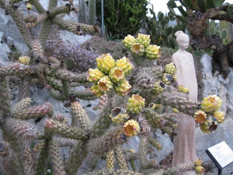 Le jardin exotique d'Eze