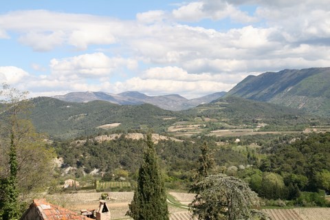 Panorama