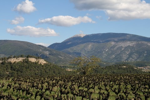 Vue sur le Mont Ventoux