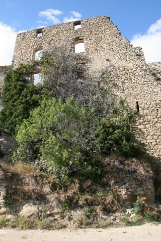 Vestiges du chateau féodal vus d'en bas