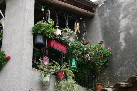 Il y a des fleurs partout