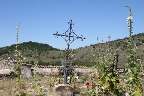 et les roses-trémières ont un peu envahi l'espace, ce qui n'est pas déplaisan