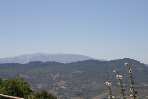Au loin, on peut apercevoir le Mont Ventoux