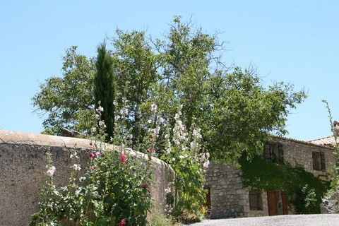 Nous y avons passé beaucoup de temps car cette église est magnifique et à la sortie, nous avons pu admirer ce splendide décor