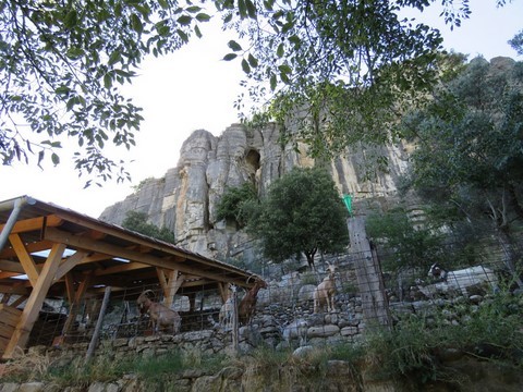 Petit domaine des chèvres