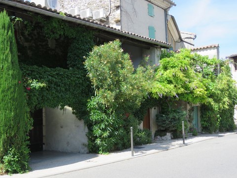 Cette façade est drôlement bien végétalisée