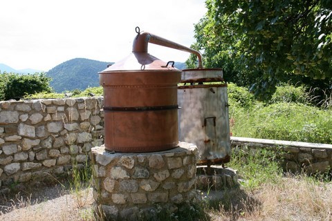Je pense qu'il peut encore servir