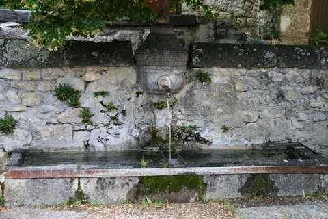 et magnifiquement fleurie