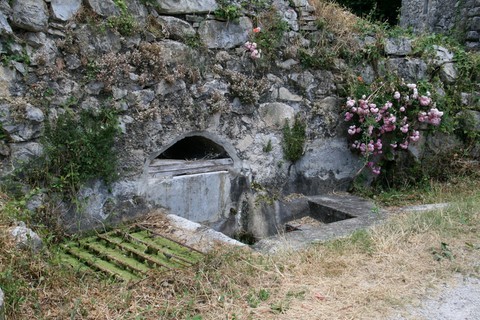 Ancienne fontaine où la nature reprend ses droits