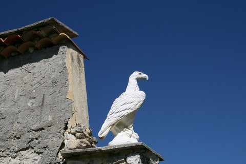 Sur la route vers La Paillette, ce joli oiseau semble dominer la plaine