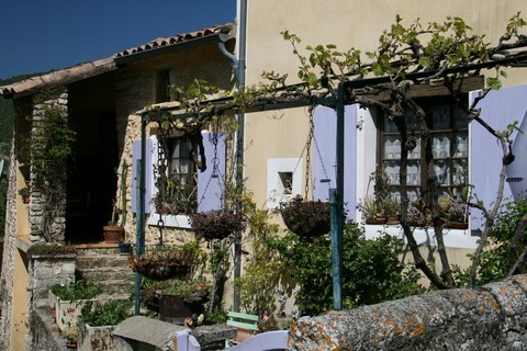 Joli décor végétal pour cette maison bien restaurée