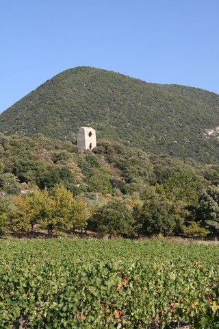 Les ruines du Château Ratier, nous allons y aller ! 