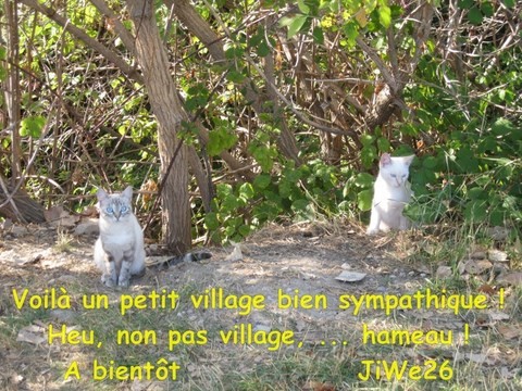 Hameau de Novézan, commune de Venterol en Drôme Provençale