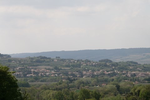Panorama