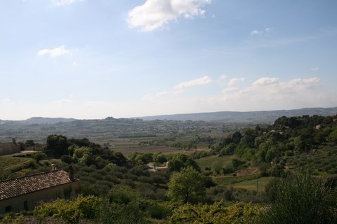 Panorama