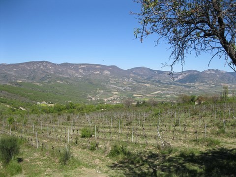 Panorama depuis Rochebrune