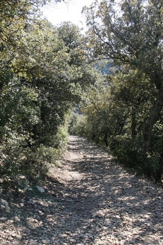 Heureusement, il y a un peu d'ombre