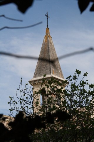 Son clocher à travers les buissons