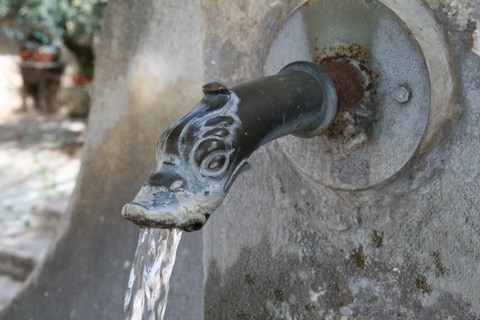 Détail de la gargouille en cuivre