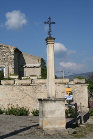 Champ de vigne et son cabanon