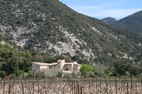 Une grosse bastide entourrée de vignes