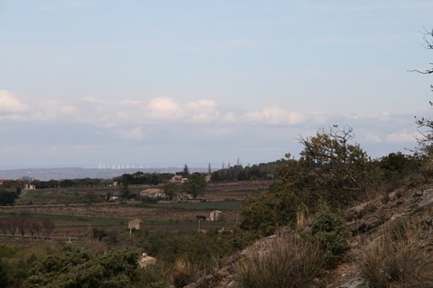 Panorama avec au fond une douzaine d'éoliennes