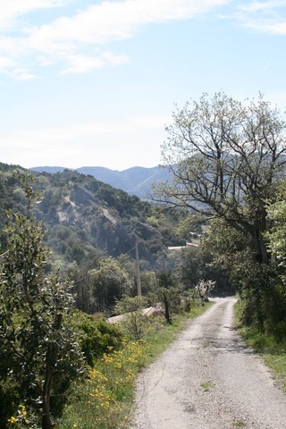 Un sentier en pleine nature