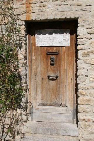 Détail de la porte ancienne avec décoration d'une forêt d'animaux