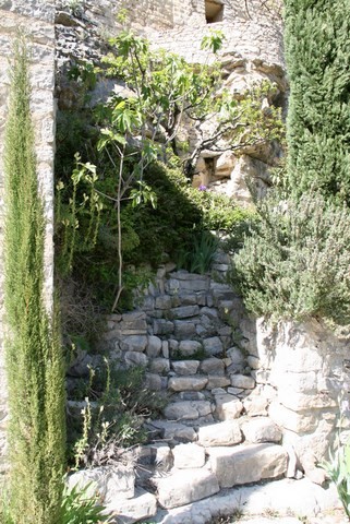 Ce petit coin sauvage est plein de charme